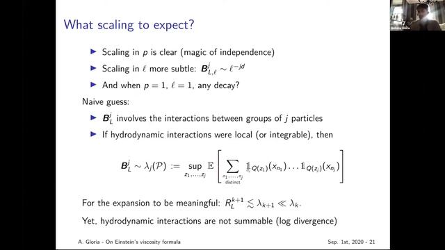 ‘On Einstein’s effective viscosity formula’ | Antoine Gloria | MIT 2020 смотреть онлайн