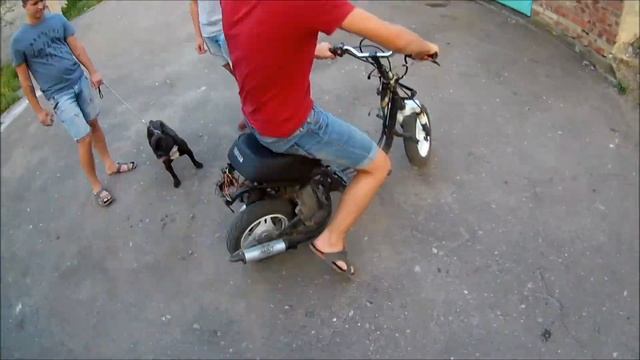 Немножко позитива ? Стант на джоге . Упал с джога = )? смотреть онлайн