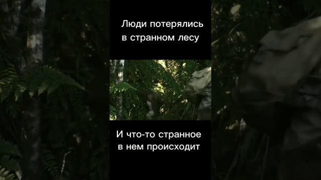 Люди потерялись в лесу, и что-то странное в нем происходит! смотреть онлайн