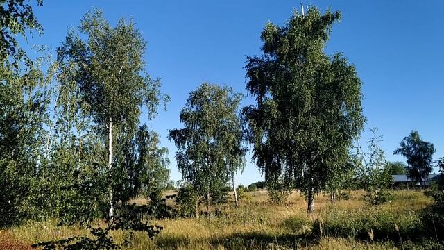 13 августа-ЕВДОКИМОВ день.Евдокимово Заговенье.Канун Успенского поста.Народные приметы смотреть онлайн