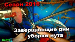 71,72-д. 2016 «Завершающие дни уборки нута. Енисей 1200-1нм»