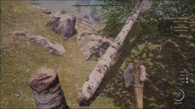 Medieval Dynasty: Oopsie Daisy trophy смотреть онлайн