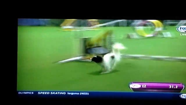 EZ John York Westminster 2014 смотреть онлайн