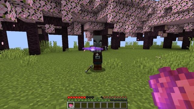 ОБЗОР НА КАСТОМНЫЕ ВЕЩИ С ФАНТАЙМА И С МОЕГО СЕРВЕРА | Minecraft | Minecraft Funtime