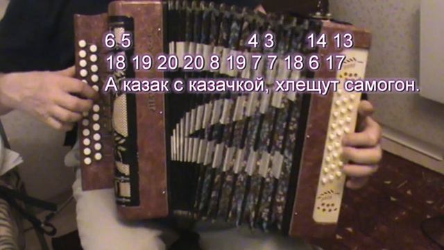 КаZачья с нотами в цифрах смотреть онлайн