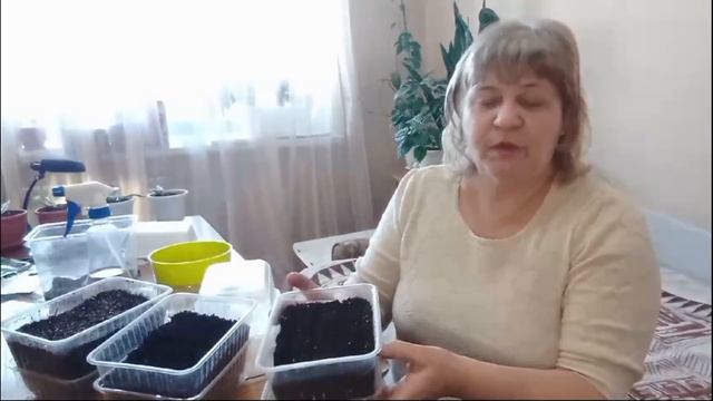 как и когда сею лук порей на рассаду смотреть онлайн