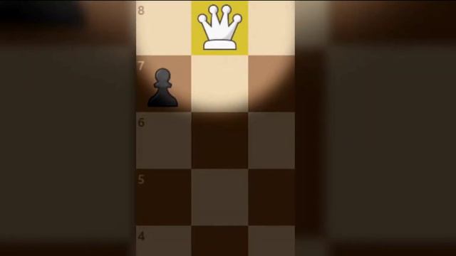 GothamChess Shouting 