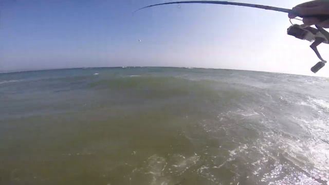 Havørred på GULP samt Test af Vindstøj på Gopro Hero 3+ смотреть онлайн