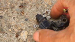 Генератор ПРАМО-Электро - замена реле регулятора, замена щеток генератора.