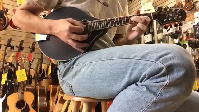Pilgrim VPMA1 New World Mandolin смотреть онлайн