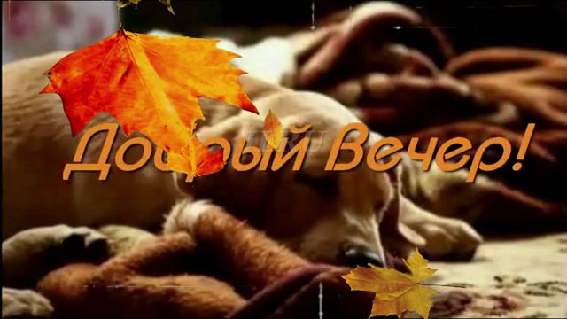 Добрый Вечер - Пусть этот вечерний отдых наполнит Вас силами