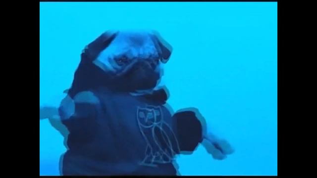 ЧТО ТАКОЕ ТОКСИЧНОСТЬ смотреть онлайн