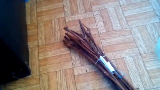Хранение черенков винограда дома.в холодильнике. ПРОВЕРЕНО И НАДЁЖНО! смотреть онлайн