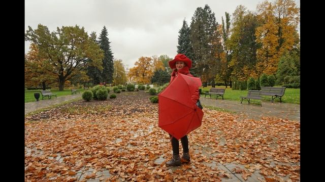 Red and Brown смотреть онлайн