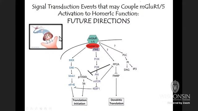 Use it of Lose it: the Role of Environmental Enrichment in Cognitive Aging; Corinna Burger; 2/24/21 смотреть онлайн