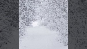 Антонио Вивальди зима(русская метель)балалайка