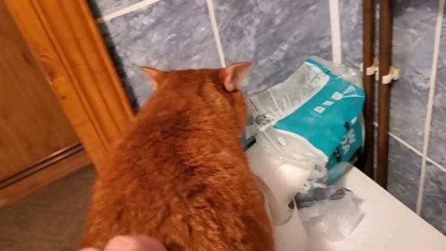 Мама научила как реагировать смотреть онлайн