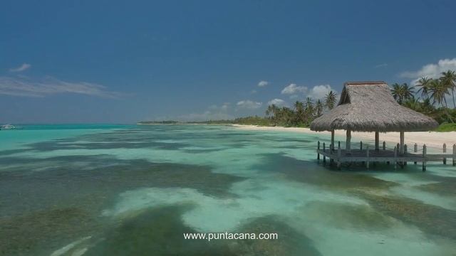 Tortuga Bay смотреть онлайн
