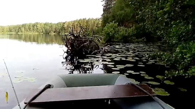 Рыбалка с ручной уткой. смотреть онлайн