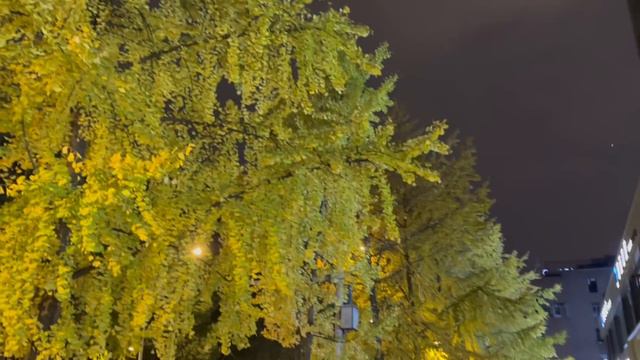 【HSK2/HSK3 Friendly to beginners】Walk around in Chengdu｜Eng Sub & pinyin｜Learn Chinese through Vlog смотреть онлайн
