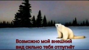 Белый медведь 2026|Обращение|Мем из 2026 года