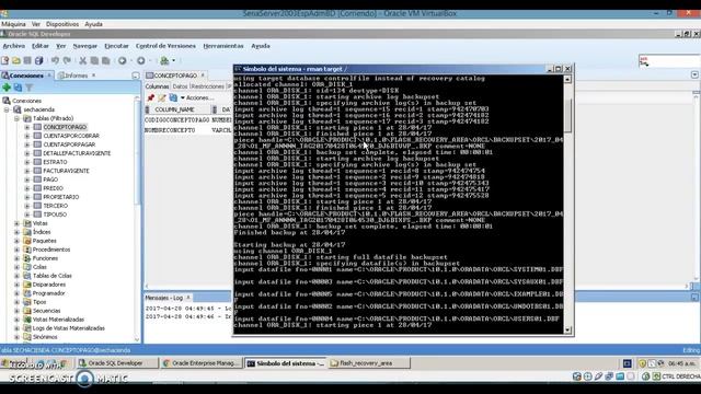 Full backup database Oracle смотреть онлайн