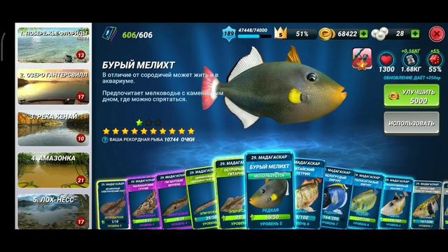 Новая рыба БУРЫЙ МЕЛИХТ / Событие на Мадагаскар / Fishing Clash: Реальная рыбалка смотреть онлайн