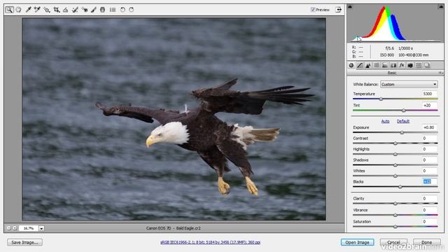 Enhancing Raw Images смотреть онлайн