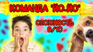 Как научить собаку команде «Йо-Йо»