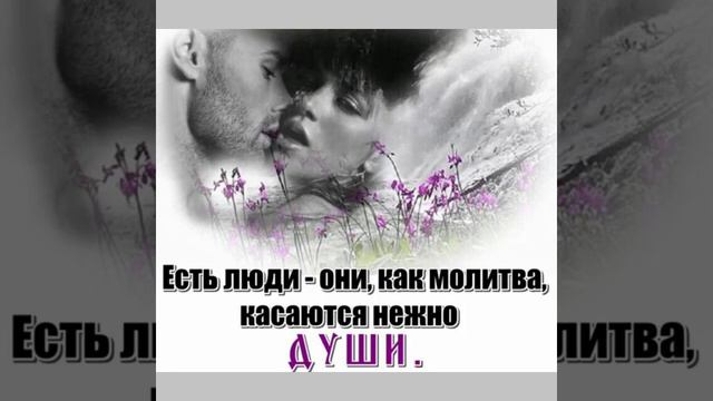 Премьера !Владимир Журавель *А ты прости, прости меня* смотреть онлайн