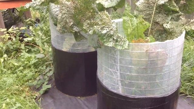 МОЙ ОГОРОД В МЕШКАХ 2021. Запись №11. Последние УРОЖАИ. смотреть онлайн