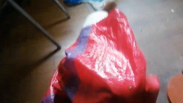 Джек Рассел терьер Рокки готовится к ремонту!!! смотреть онлайн