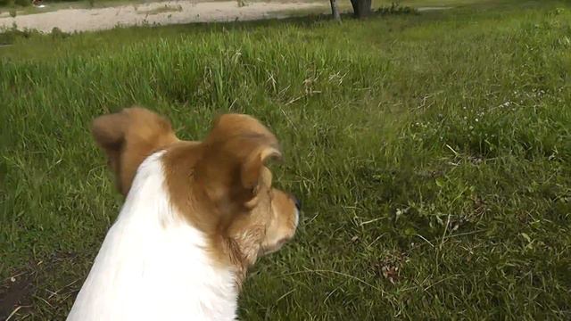 Летнее обострение! смотреть онлайн