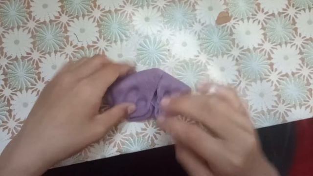 Ника нипета