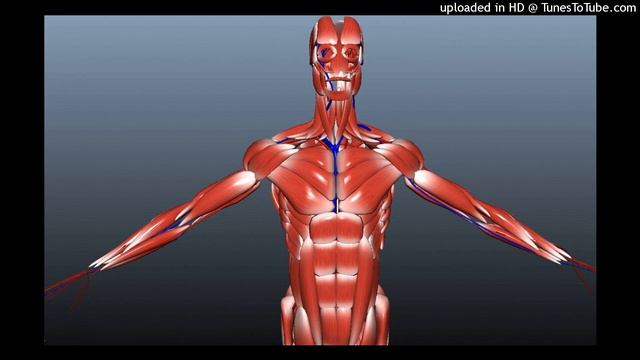 [FREE FOR PROFIT] AFOURTEEN x NASCAR ALOE TYPE BEAT - [CATCHY] смотреть онлайн