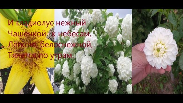 ДВОРИК С ЦВЕТАМИ - ЧИТАЕТ АВТОР ТАТЬЯНА ЛОБАНОВА смотреть онлайн