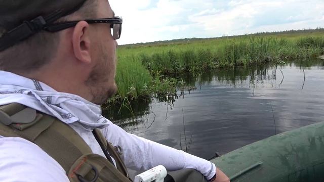 Канадский рис, проверяем всхожесть, рыбачим смотреть онлайн