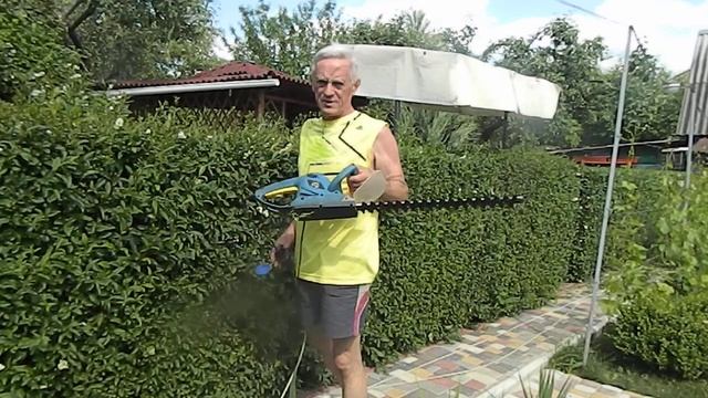 Обрезка живой изгороди смотреть онлайн