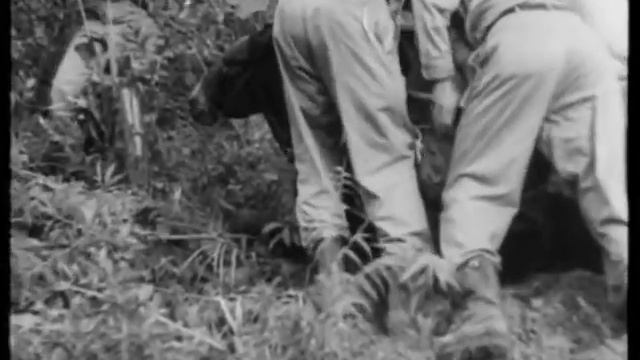 Anaconda (1954) - Trailer