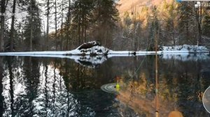 My Fishing World Обыкновенный лопатонос без прилова.