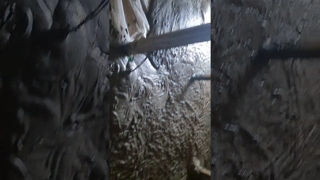 100% Утепление крыши пенобетоном в Шымкенте (ЮКО) 87772178000 смотреть онлайн