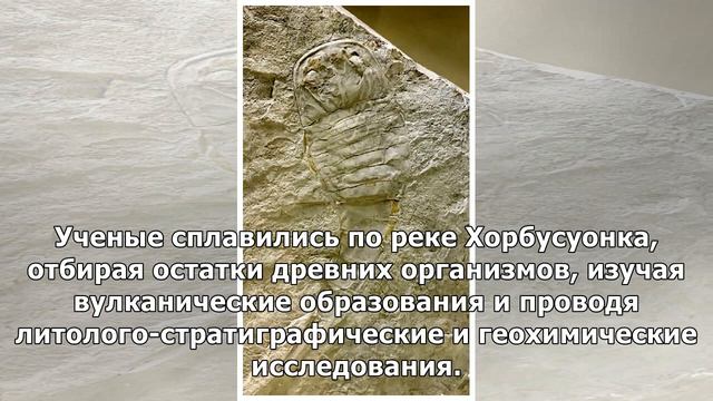 В Якутии найдены ископаемые организмы, обитавшие на Земле более 500 млн лет назад смотреть онлайн