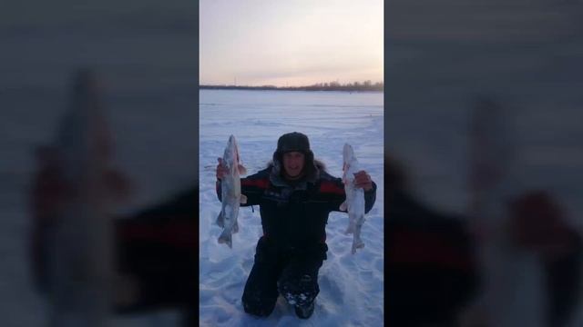 РЫБАЛКА В НИЖНЕВАРТОВСКОМ РАЙОНЕ С СЛАВОЙ РАЗИНСКИМ смотреть онлайн