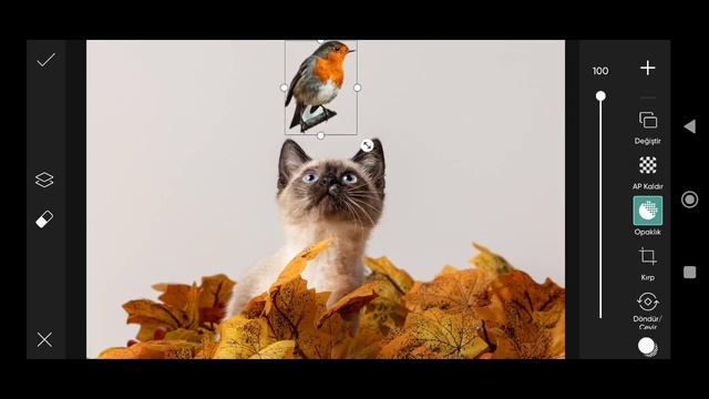 How To Picsart İmage Tutorial #247 #picsart #picture #tutorial смотреть онлайн