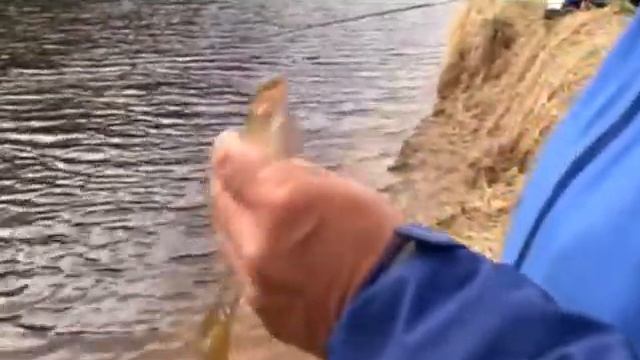 Моя рыбалка. Дайджест за 2014 год смотреть онлайн