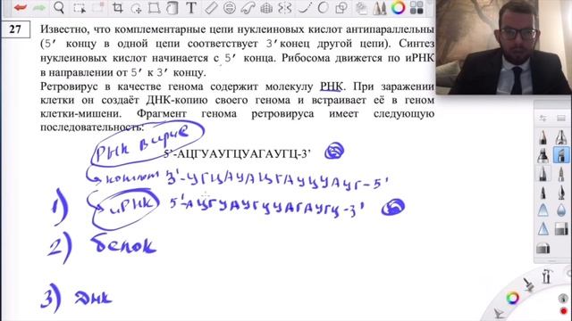 ВСЕ О 27 задании ЕГЭ в 1 видео | БИОЛОГИЯ смотреть онлайн