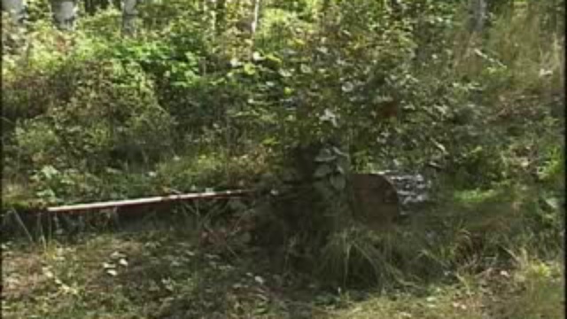 Золотаревское городище