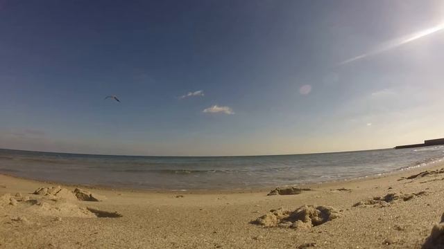 Успокаивающий шум морских волн и крик чаек смотреть онлайн