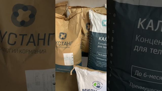 КАЛЬВОФИТ 23 премиум престартер для коз , КРС , ягнят , и тд ) 23 протеин смотреть онлайн