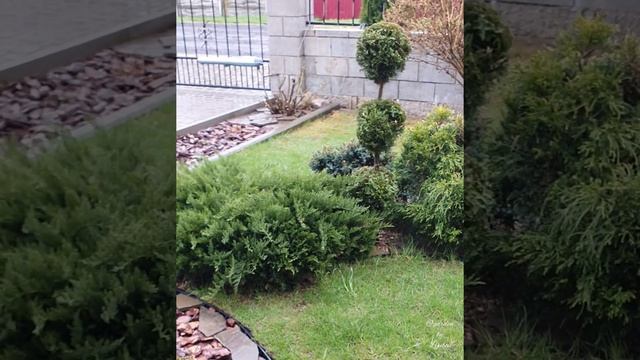 Ланшафтные композиции / Landscape design смотреть онлайн